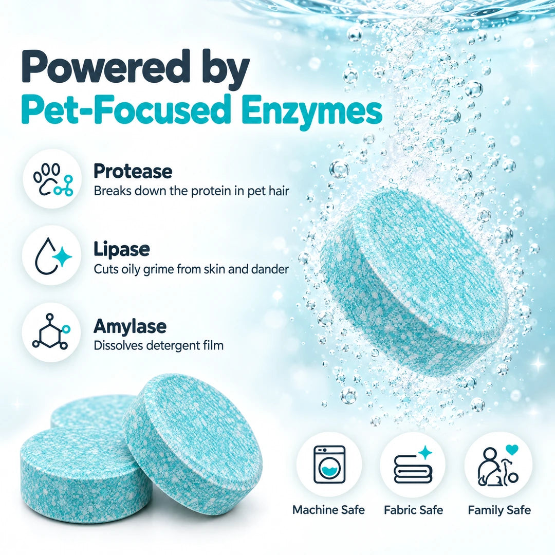 Pet-focused enzymes: protease, lipase and amylase