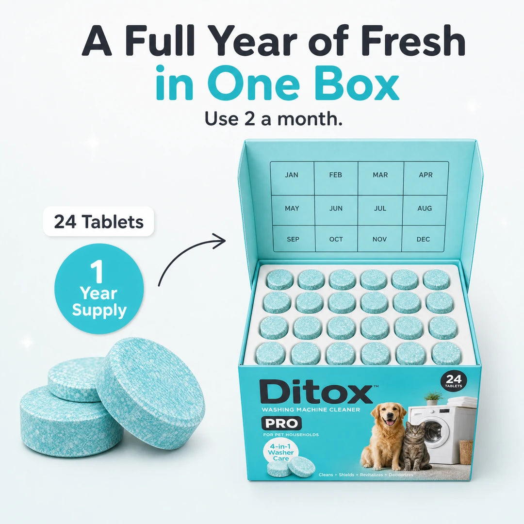 A full year of fresh in one box: 24 tablets