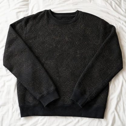 Before: dark sweatshirt covered in pet hair