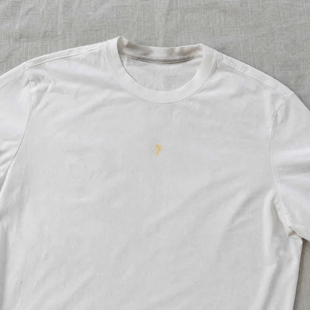Before: white t-shirt with a stain and pet hair