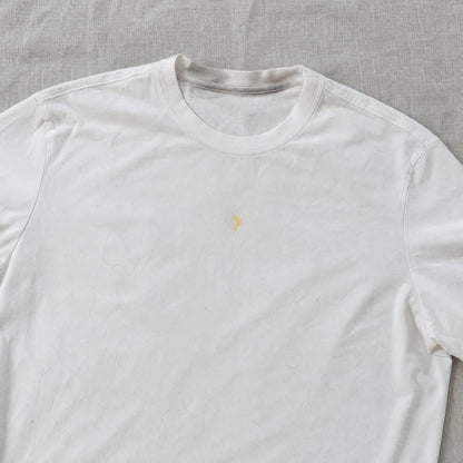 Before: white t-shirt with a stain and pet hair